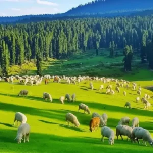 How to Plan Bangus Valley Trip: Complete Guide, Itinerary & Travel Tips