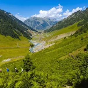 nagin valley in kashmir brown chinar kashmir