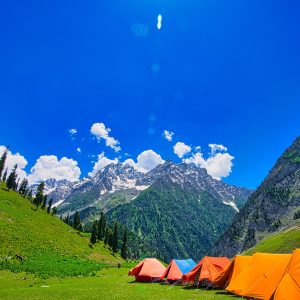 nagin valley in kashmir brown chinar kashmir