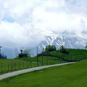 nagin valley in kashmir brown chinar kashmir