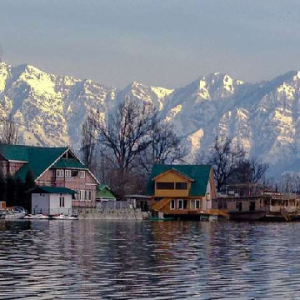 nigeen lake in kashmir brown chinar kashmir