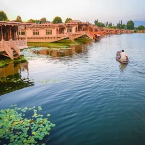 nigeen lake in kashmir brown chinar kashmir