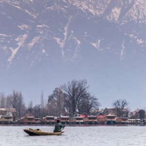 nigeen lake in kashmir brown chinar kashmir