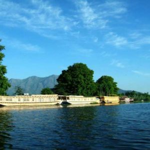 nigeen lake in kashmir brown chinar kashmir