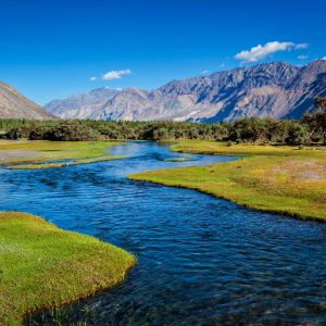 nubra-valley-ladakh_brown_chinar_kashmir