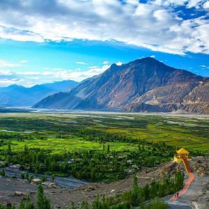 nubra-valley_brown_chinar_kashmir