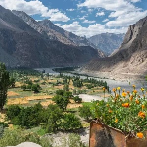 nubra-valley_ladakh_brown_chinar_kashmir