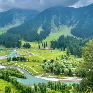 pahalgam-kashmir_brown_chinar_kashmir