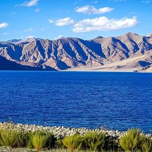 pangong-lake-ladakh_brown_chinar_kashmir