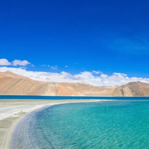 pangong_lake_brown_chinar_kashmir