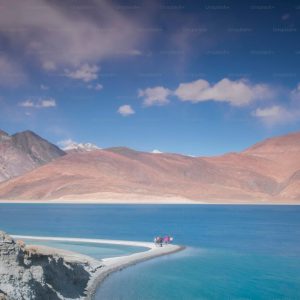 pangong_lake_brown_chinar_kashmir