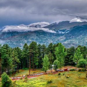 patnitop_brown_chinar_kashmir