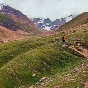 salnai_lakes-trek_brown_chinar_kashmir