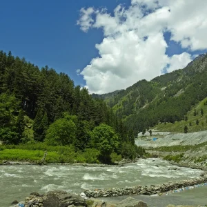 sindh valley in kashmir brown chinar kashmir