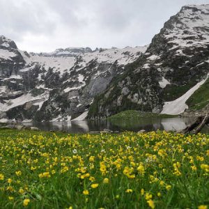 sindh valley in kashmir brown chinar kashmir