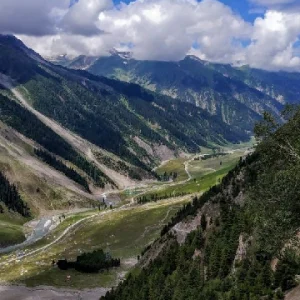 sindh valley in kashmir brown chinar kashmir