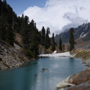 sindh valley in kashmir brown chinar kashmir