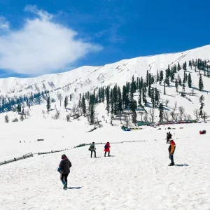 snowfall-in_kashmir_brown_chinar_kashmir