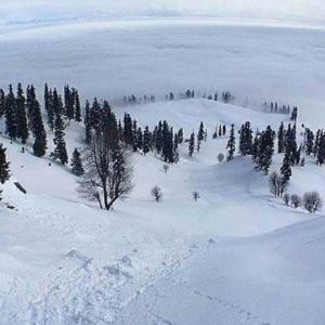 snowfall-in_kashmir_brown_chinar_kashmir