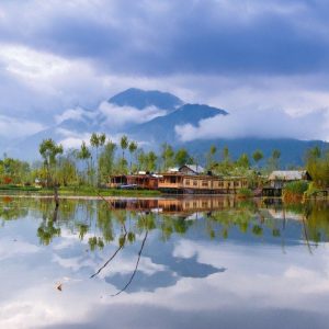 summer-in-kashmir_brown_chinar_kashmir