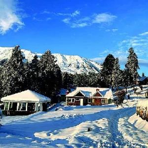 winter in kashmir brown chinar kashmir 1