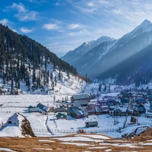 winter-in-kashmir_brown_chinar_kashmir