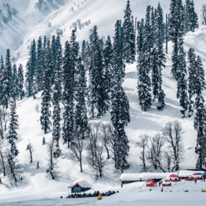 winter-in-kashmir_brown_chinar_kashmir