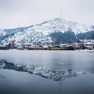 winter_in_kashmir_brown_chinar_kashmir