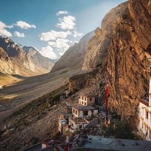 zanskar-valley_brown_chinar_kashmir