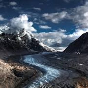 zanskar_valley_brown_chinar_kashmir