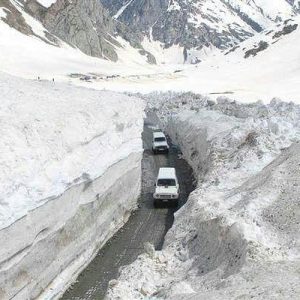 zero_point-sonmarg_brown_chinar_kashmir