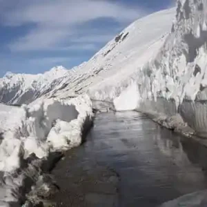 zero_point_sonmarg_brown_chinar_kashmir